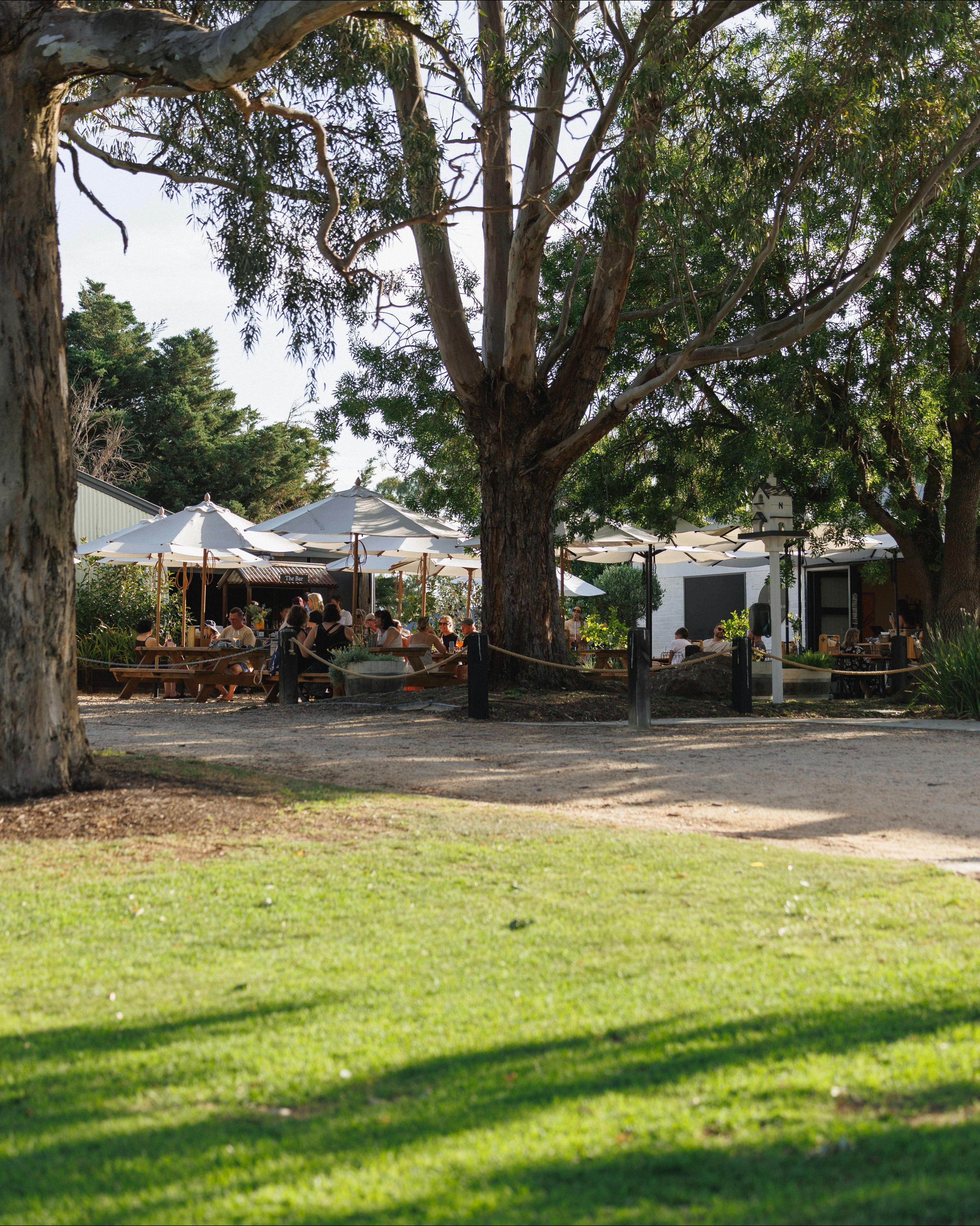 Kitchen Farm