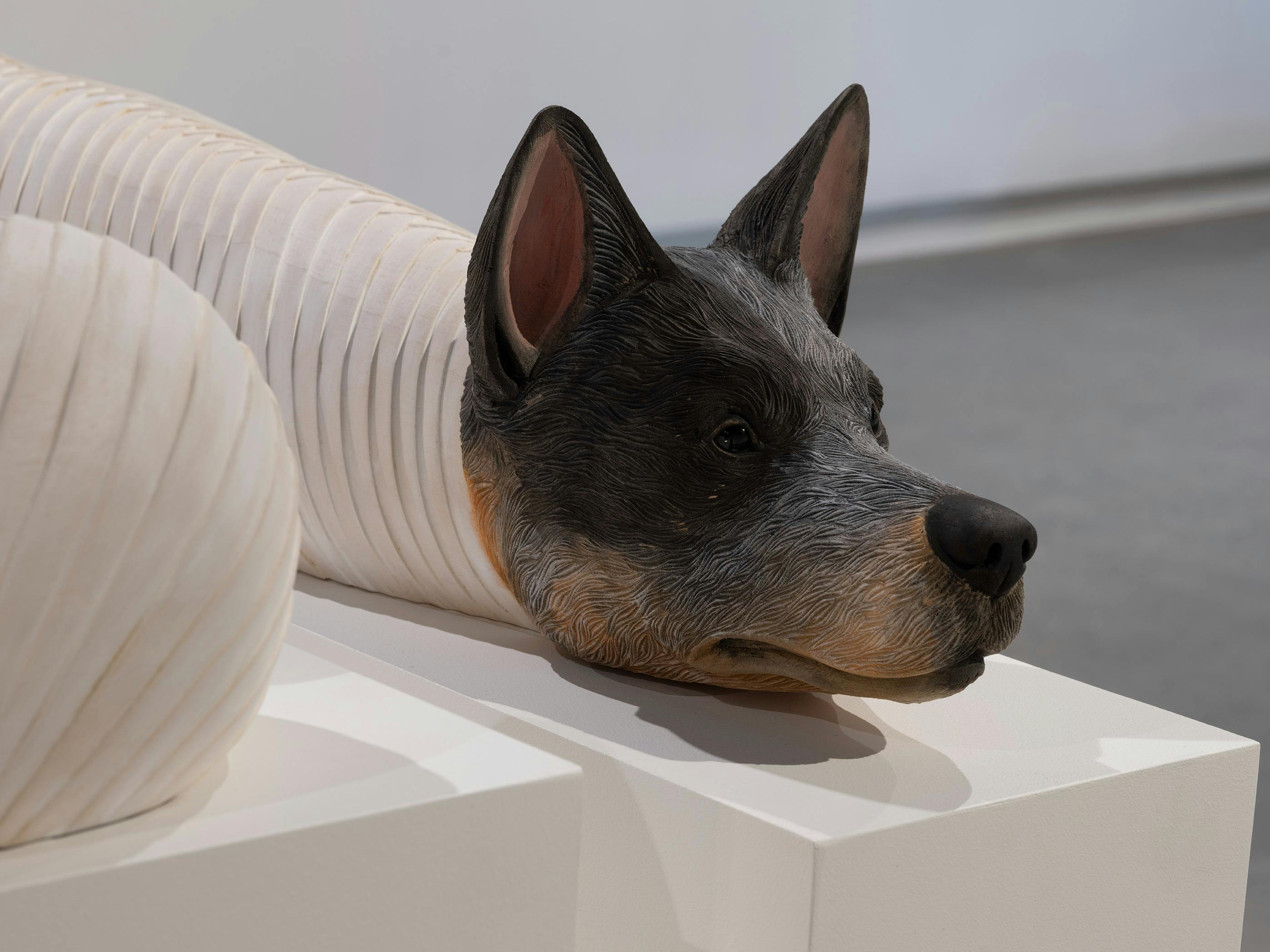 A hyper realistic wooden sculpture of a blue heeler.