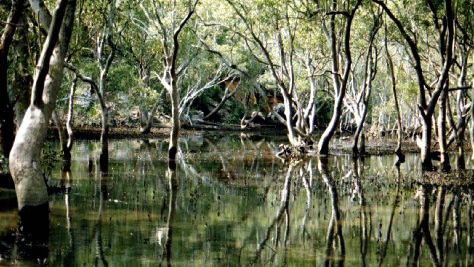 Hawkesbury Expeditions and Charters