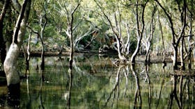Hawkesbury Expeditions and Charters