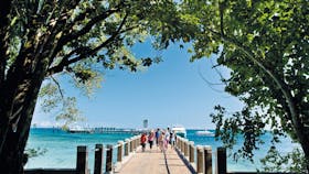Visitors arriving on jetty at Green Island