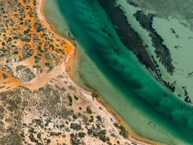 Big Lagoon