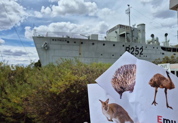 'Aussie Wild Wonders' | School Holiday Fun