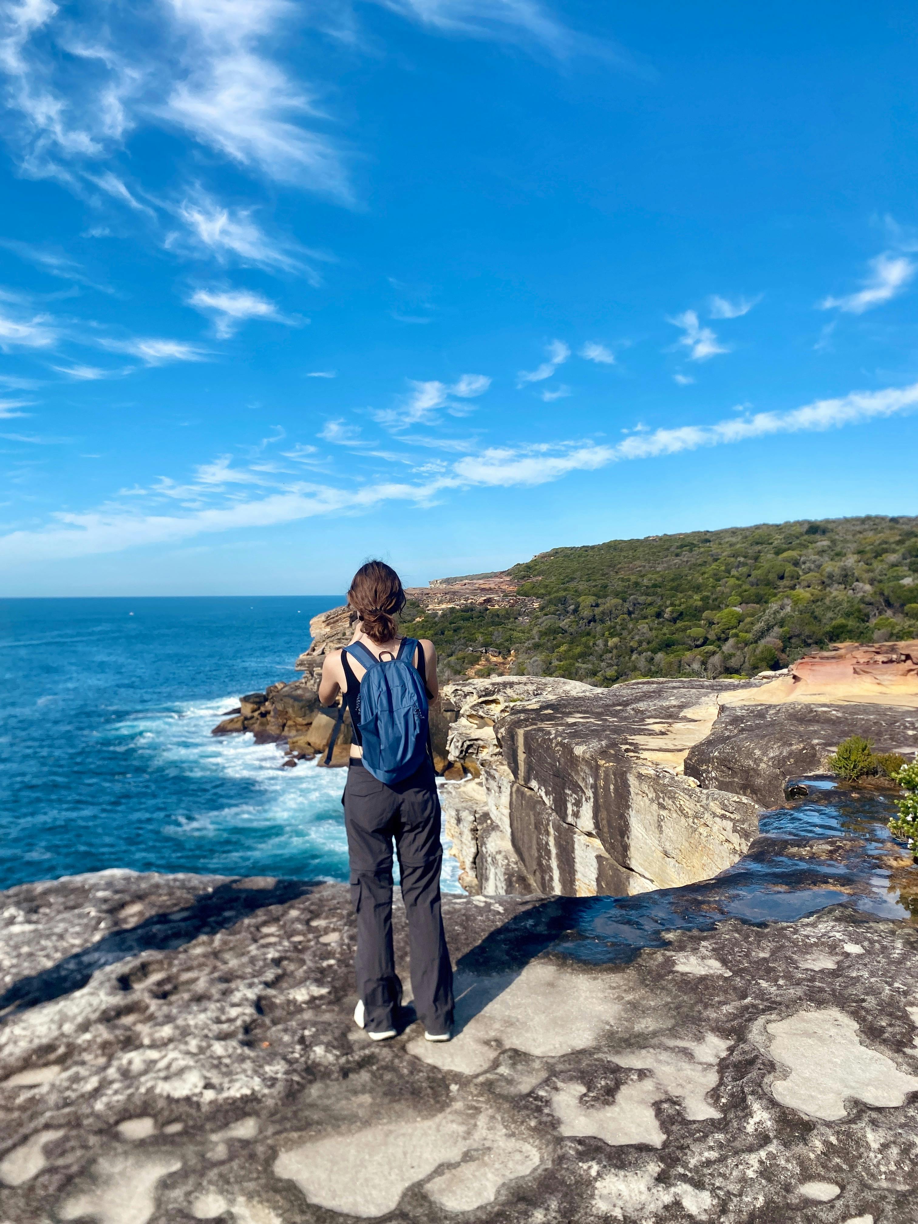 Sydney: Royal National Park Coast & Rainforest, Koalas & Lunch