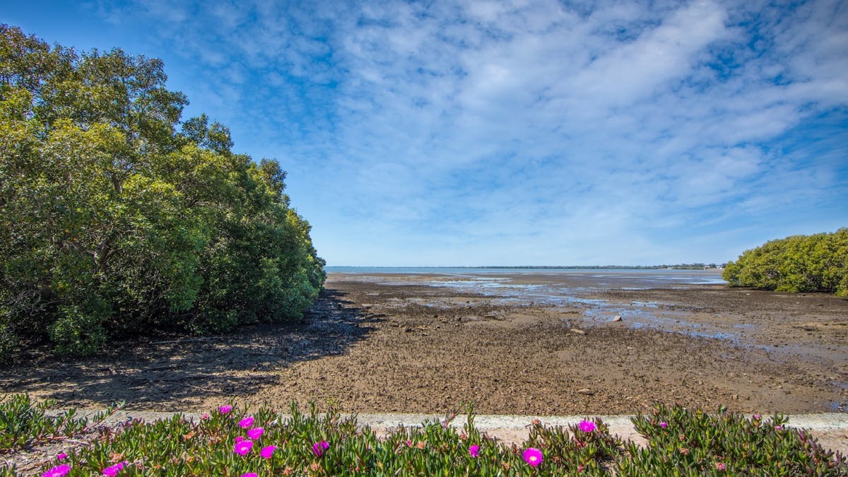 Bancroft Sea Baths with purple flowers in the foreground