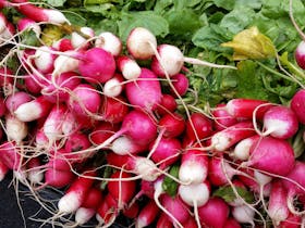 Castlemaine Farmers' Market
