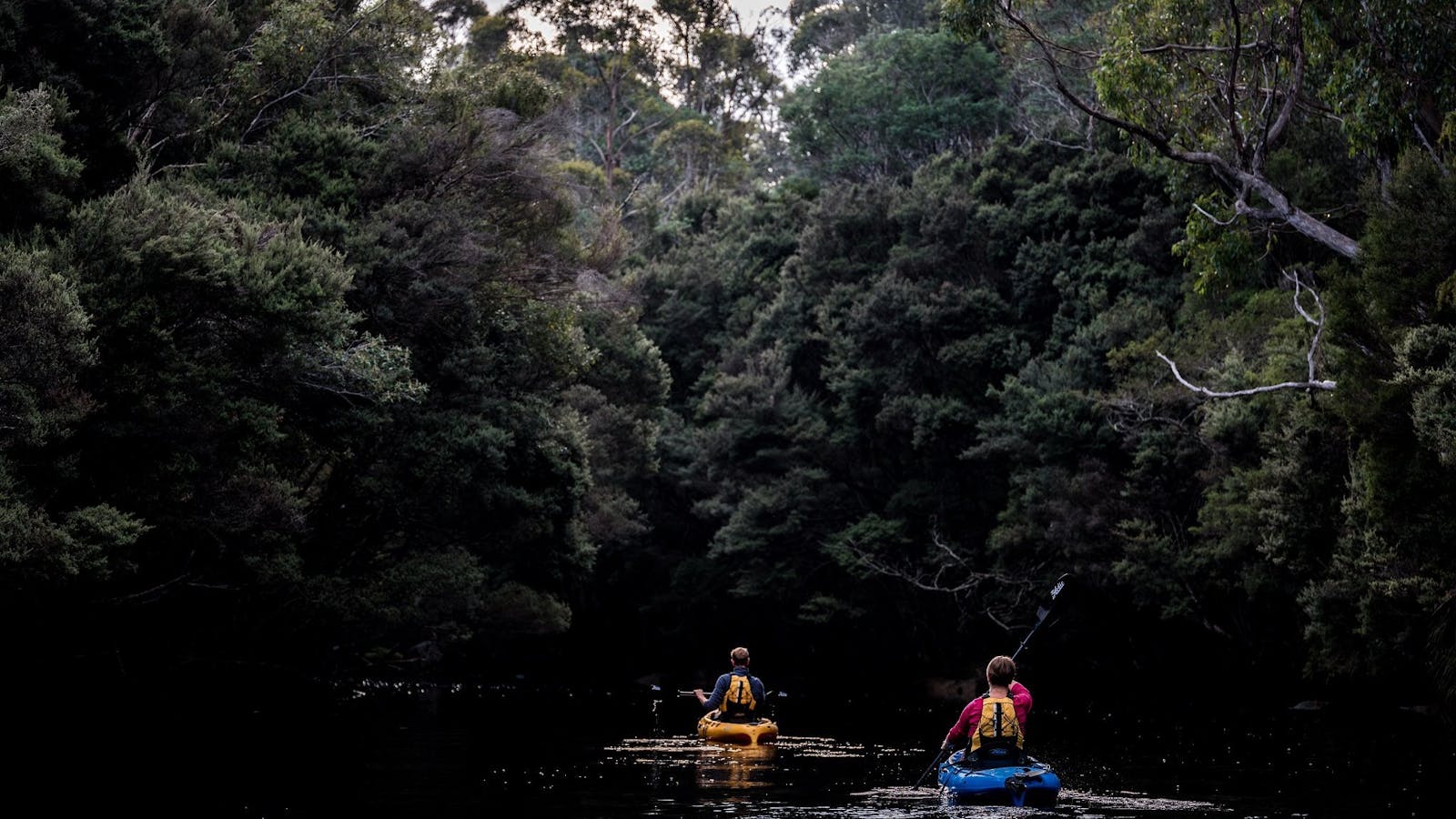 Explore wild Tasmanian waterways