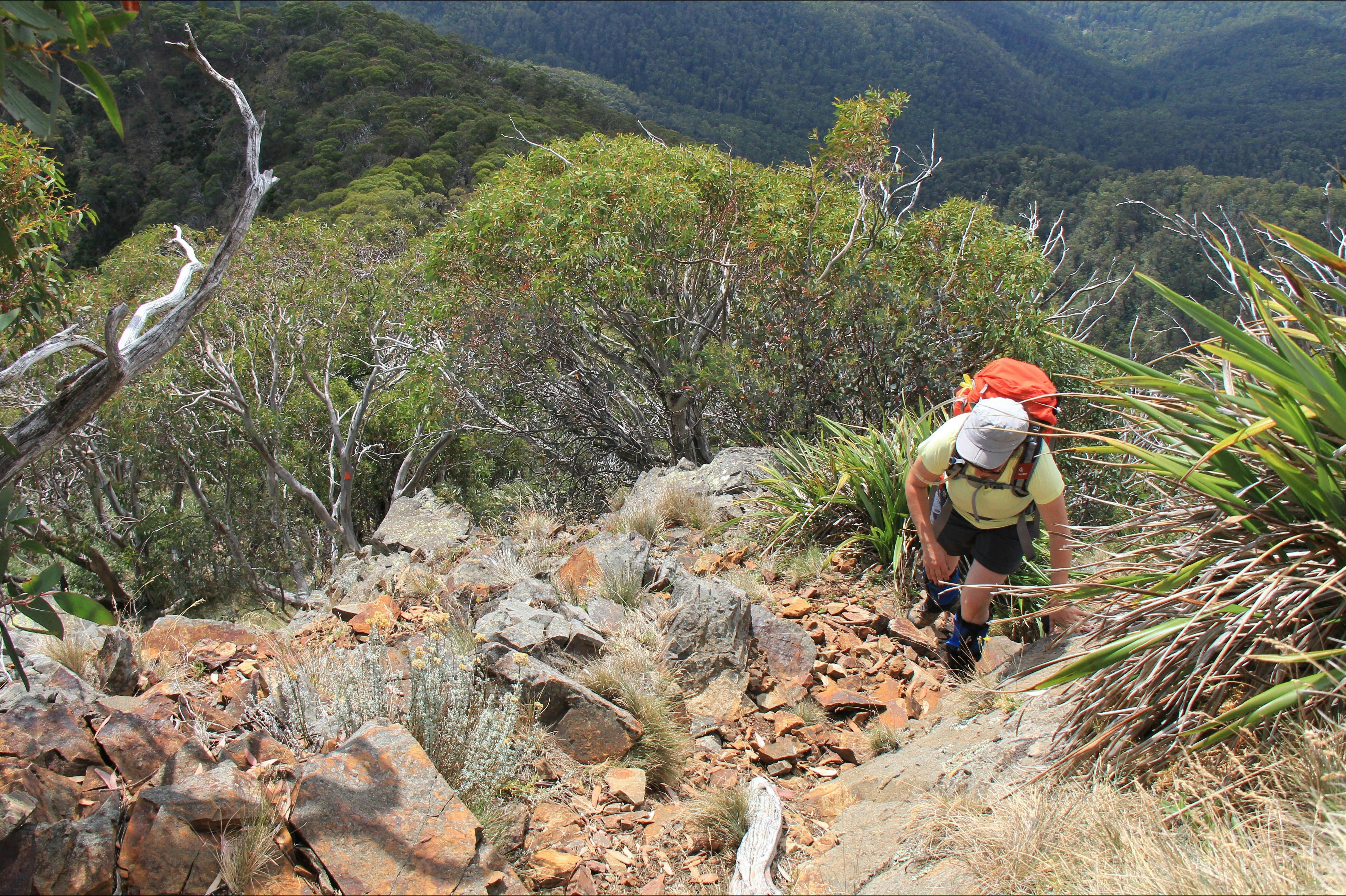 A hiker heading up a rocky section of the West Ridge Trail.