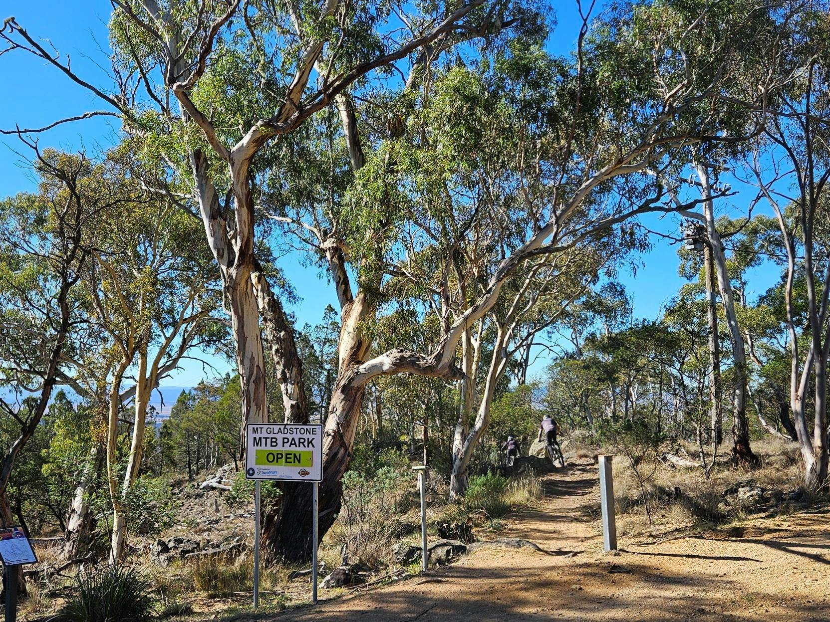 Mt Gladstone MTB Park