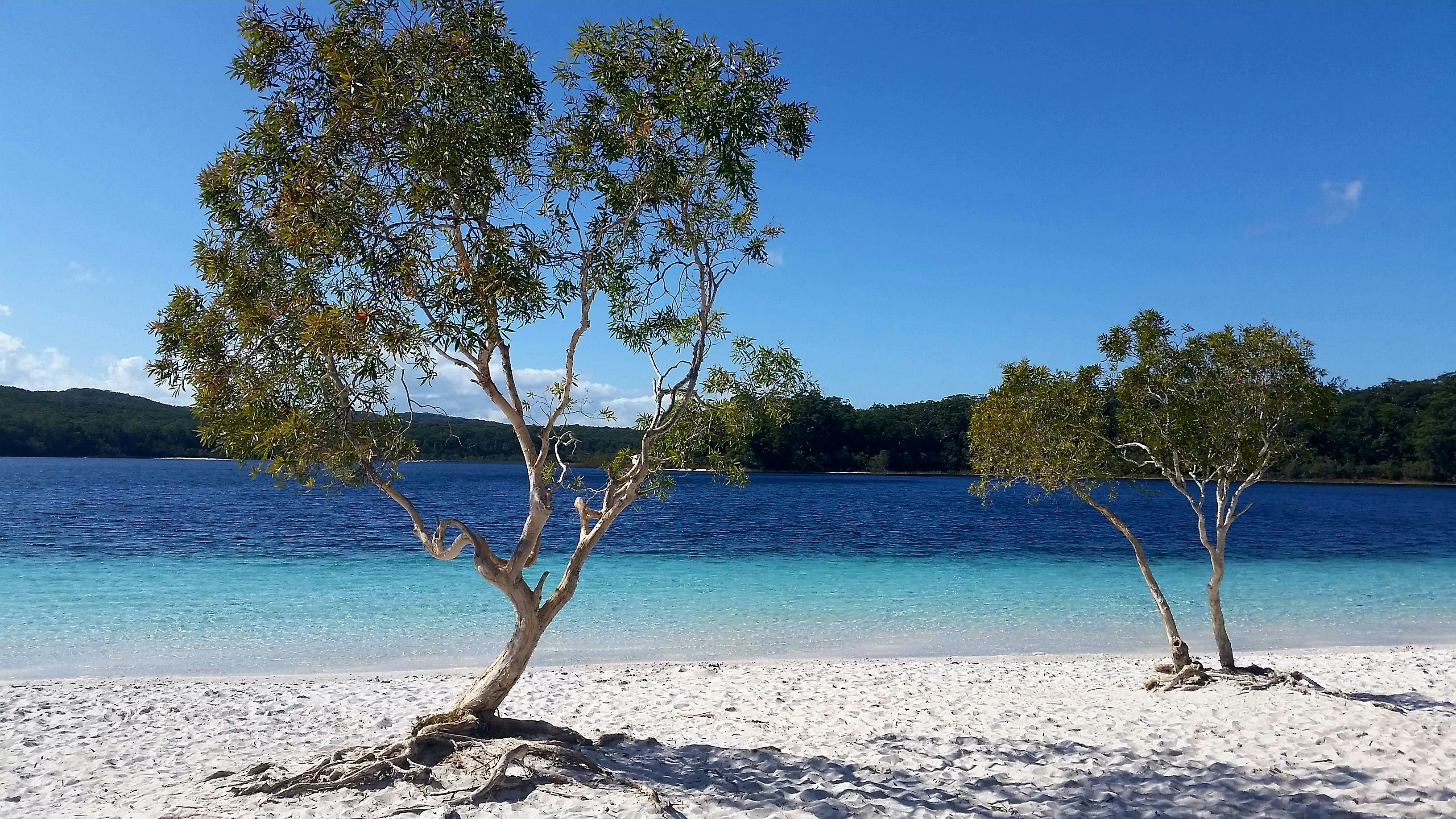 Pure silica sand and crystal clear water that you just want to dive into.