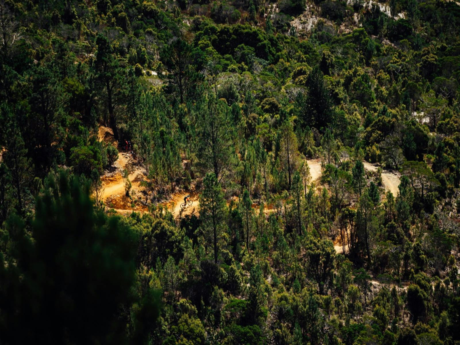 Mt Owen MTB Trail Network
