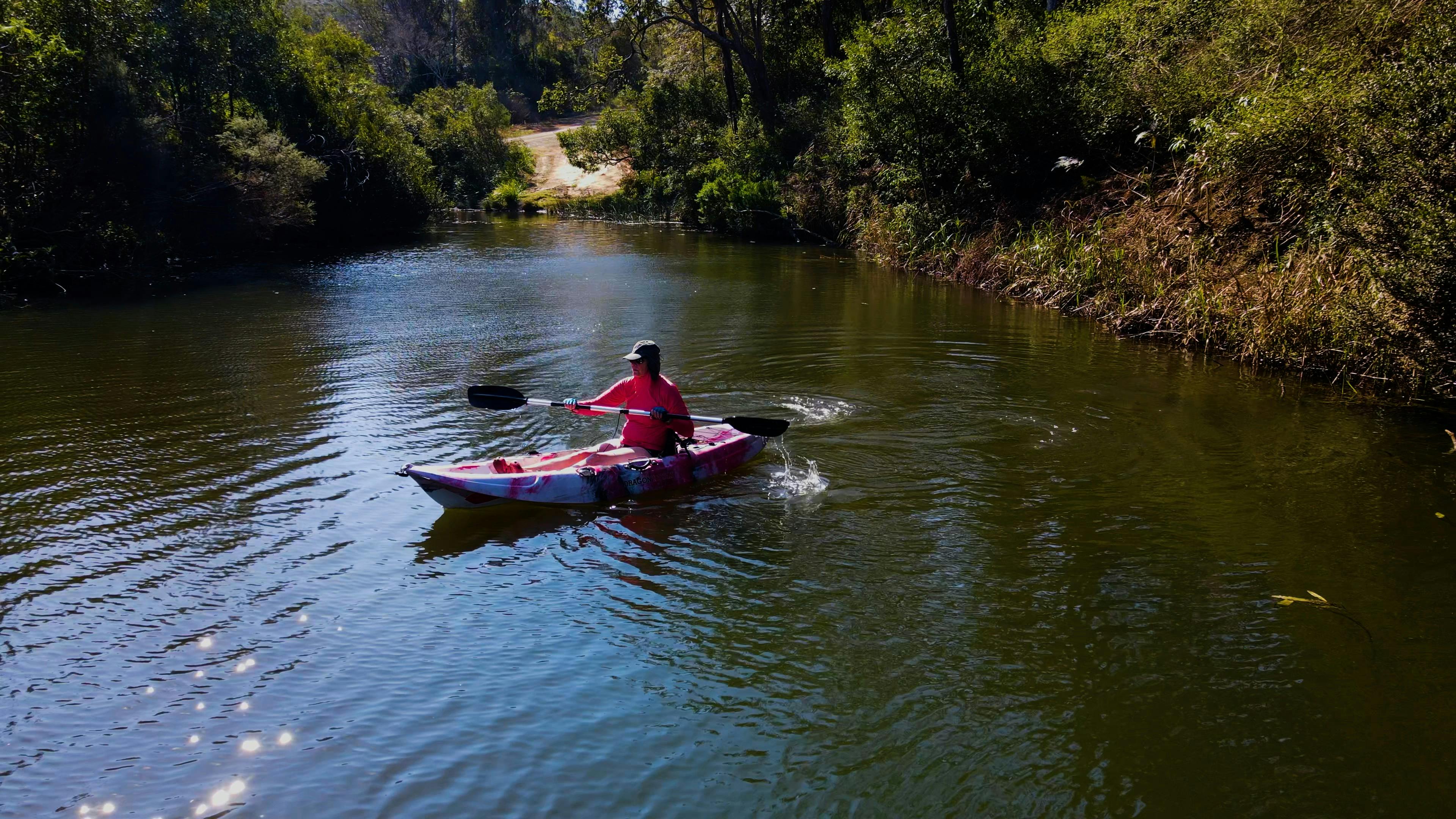 Beautiful serene Yabba Creek. A great place to have a go at ta free Kayak