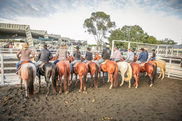 ACA National Finals Hosted by the Goondiwindi & District Campdraft Association