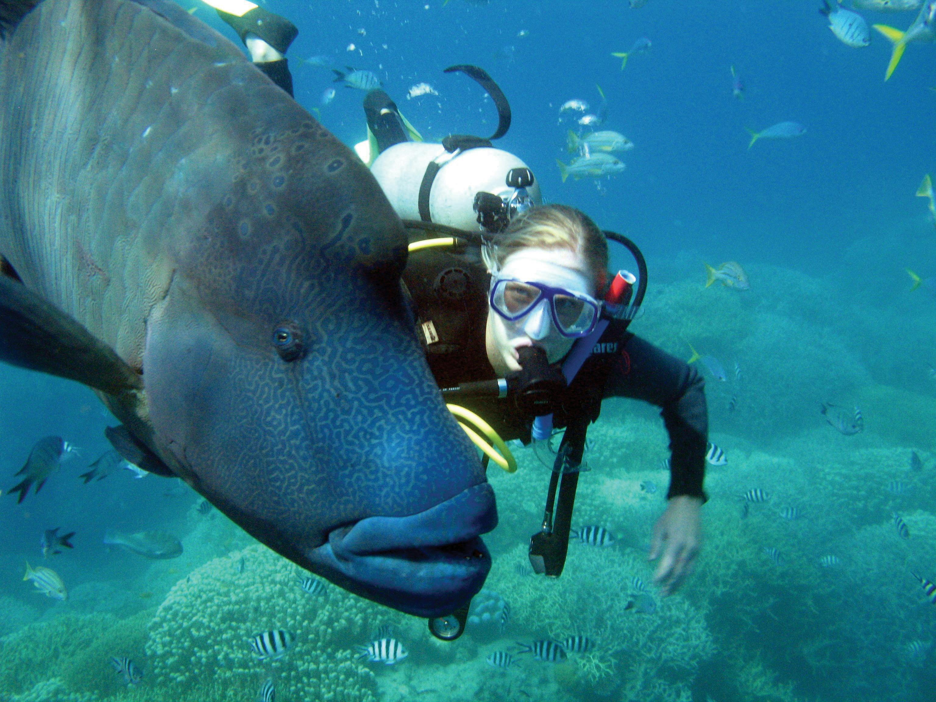 Whitsundays Sailing Adventures