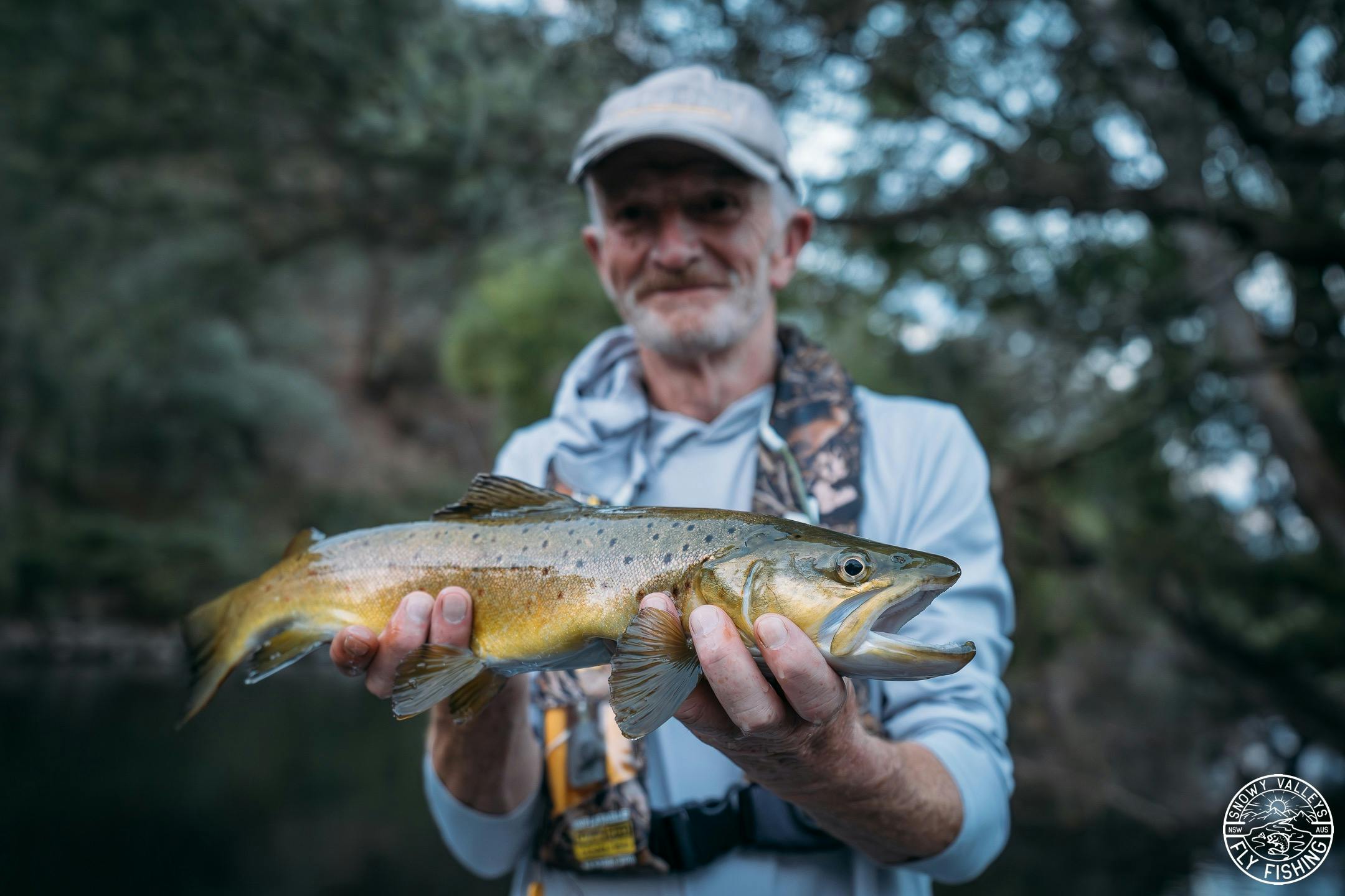 explore the rivers in comfort and style