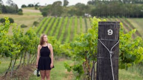 Food and wine experience