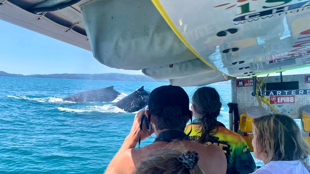 North Queensland Island Charters