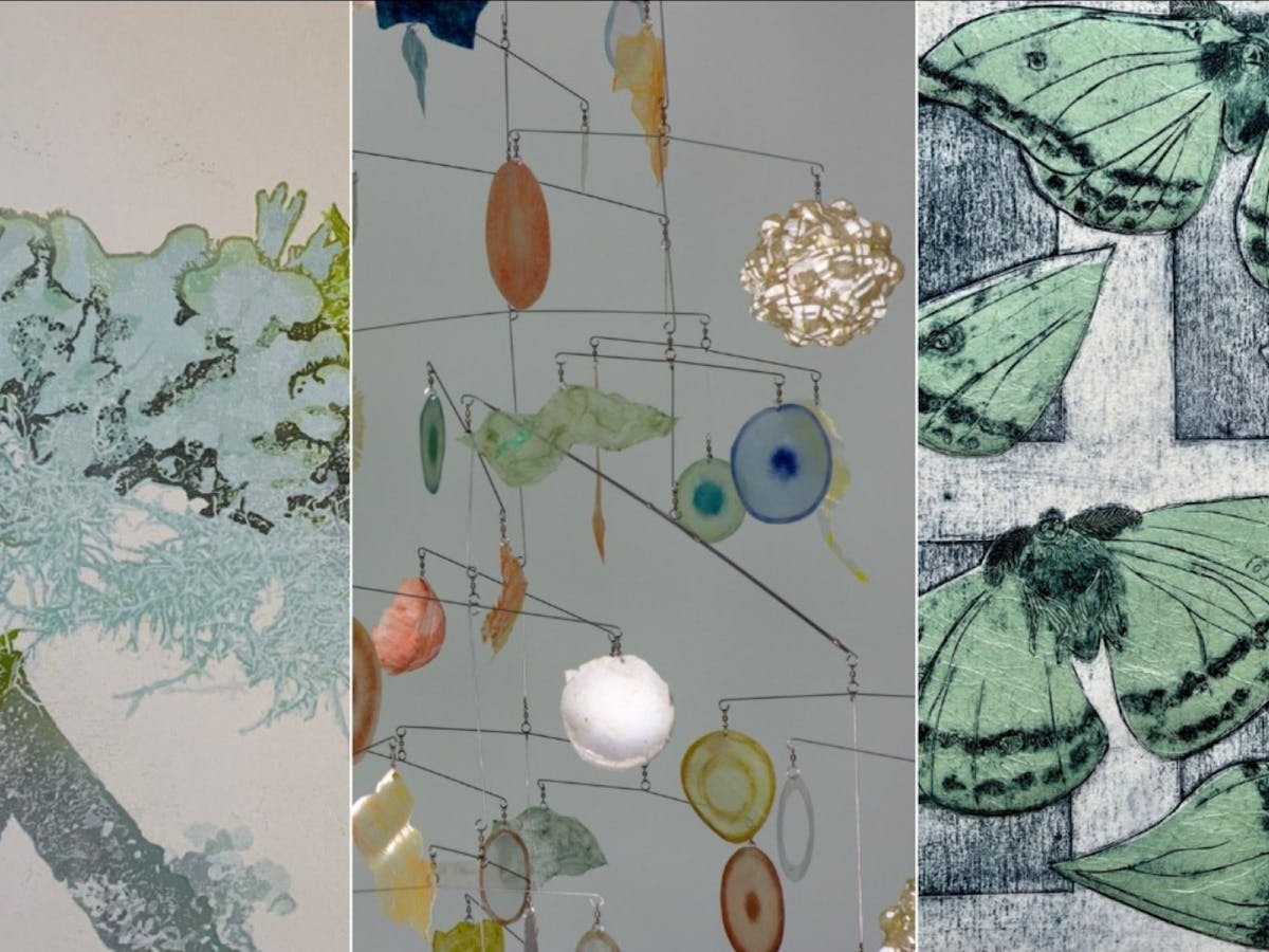 P. Lawry, Lichen 1 (2023); S. Bowen, Infiltration (2025); C. Courcier-Jones, Falling (2024)