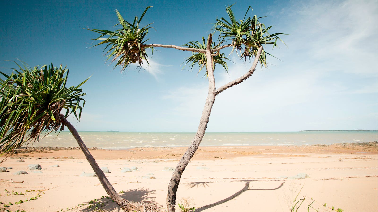 The Serenity Coast