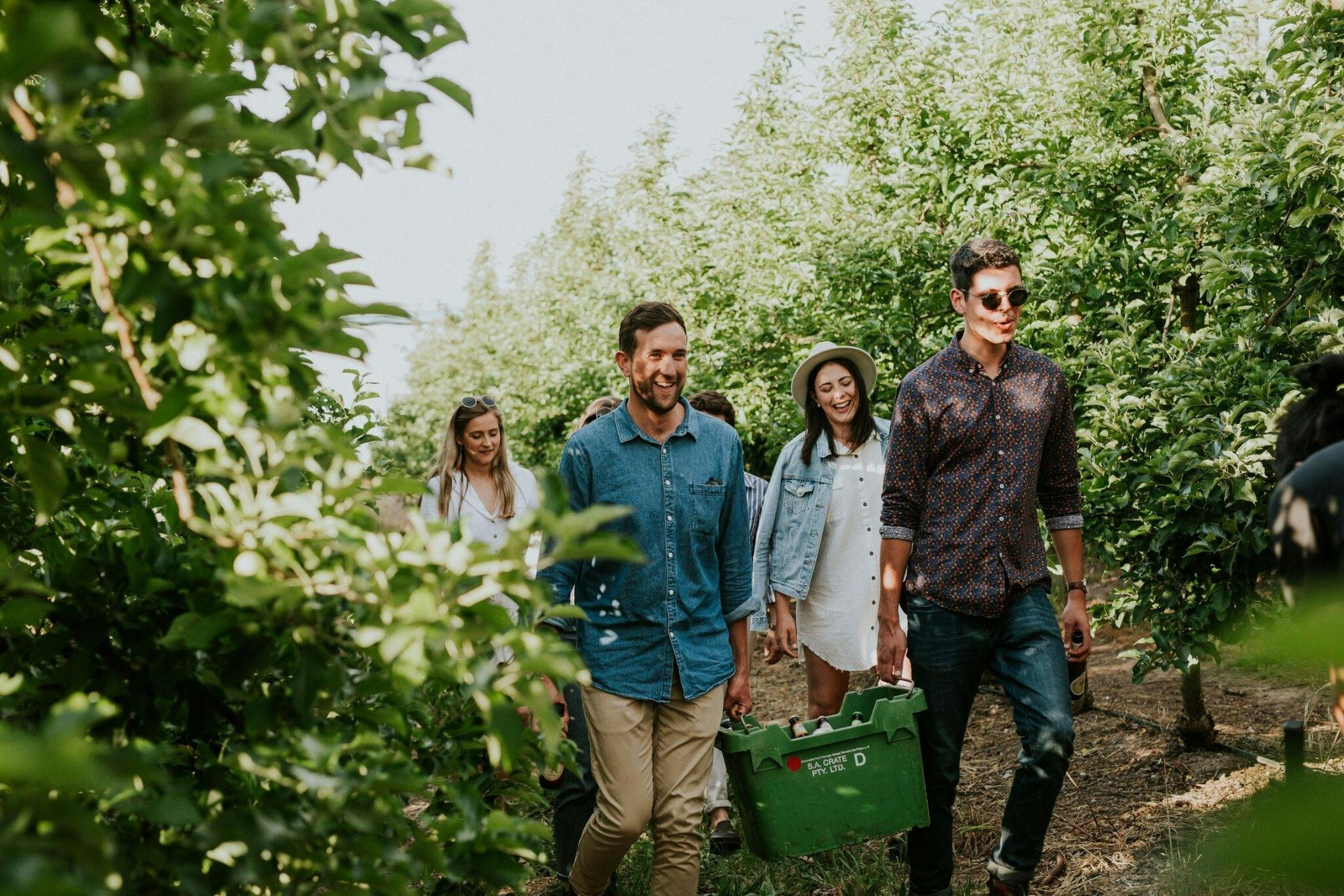 LOT.100 Hills Cider Co Experience