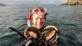 Wild Caught Tasmanian Abalone