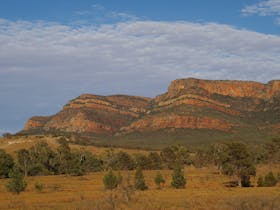 Elder Range, Flinders Ranges SA