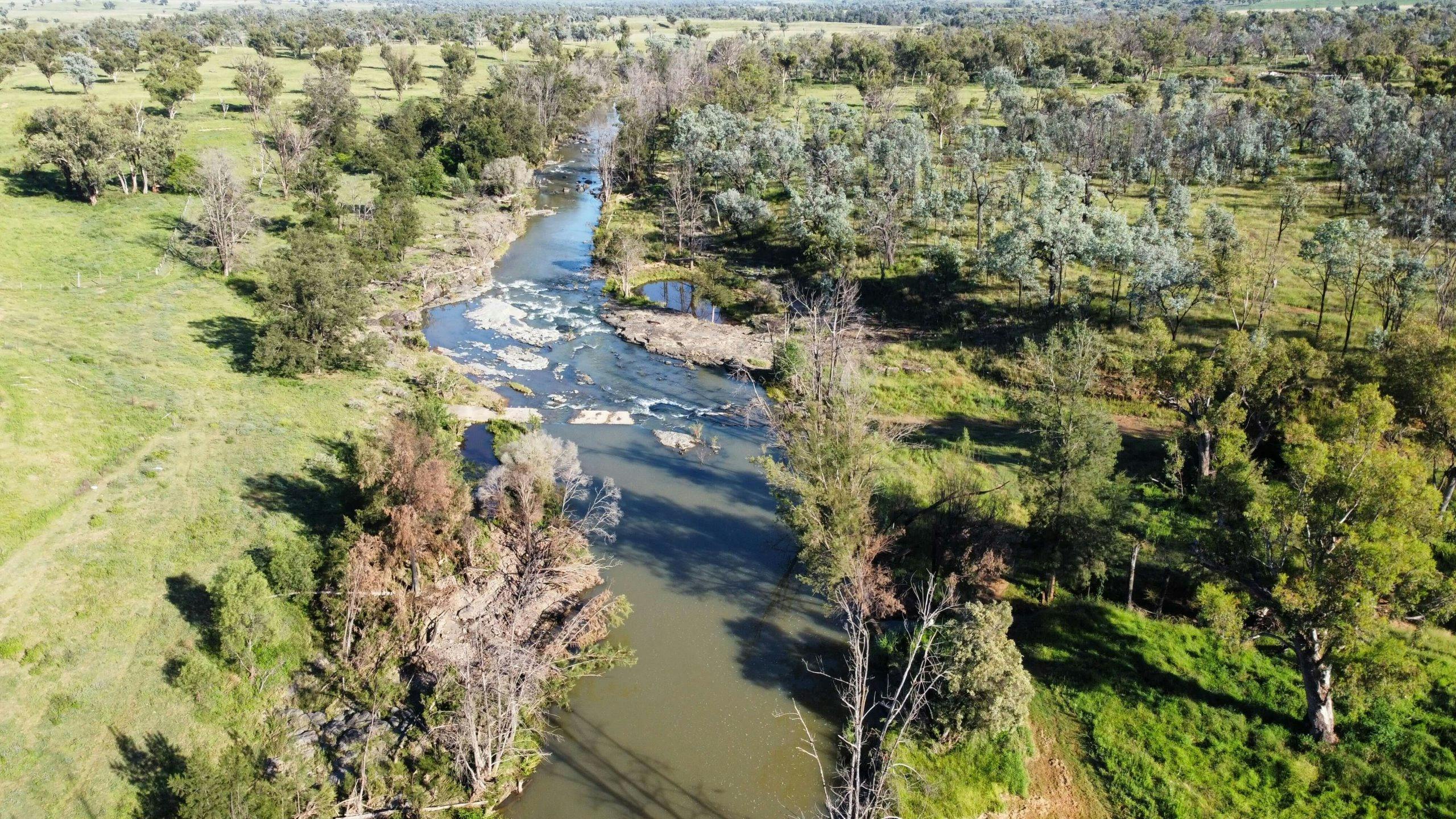 Glenriddle Reserve