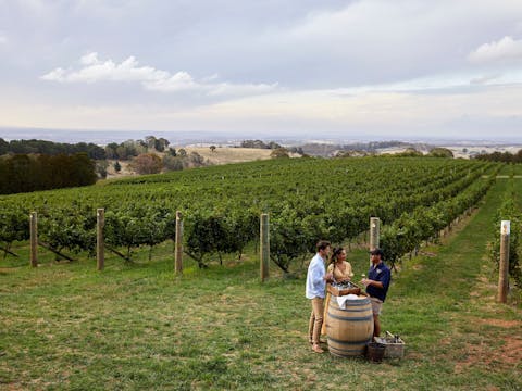 Long Lunch in Orange