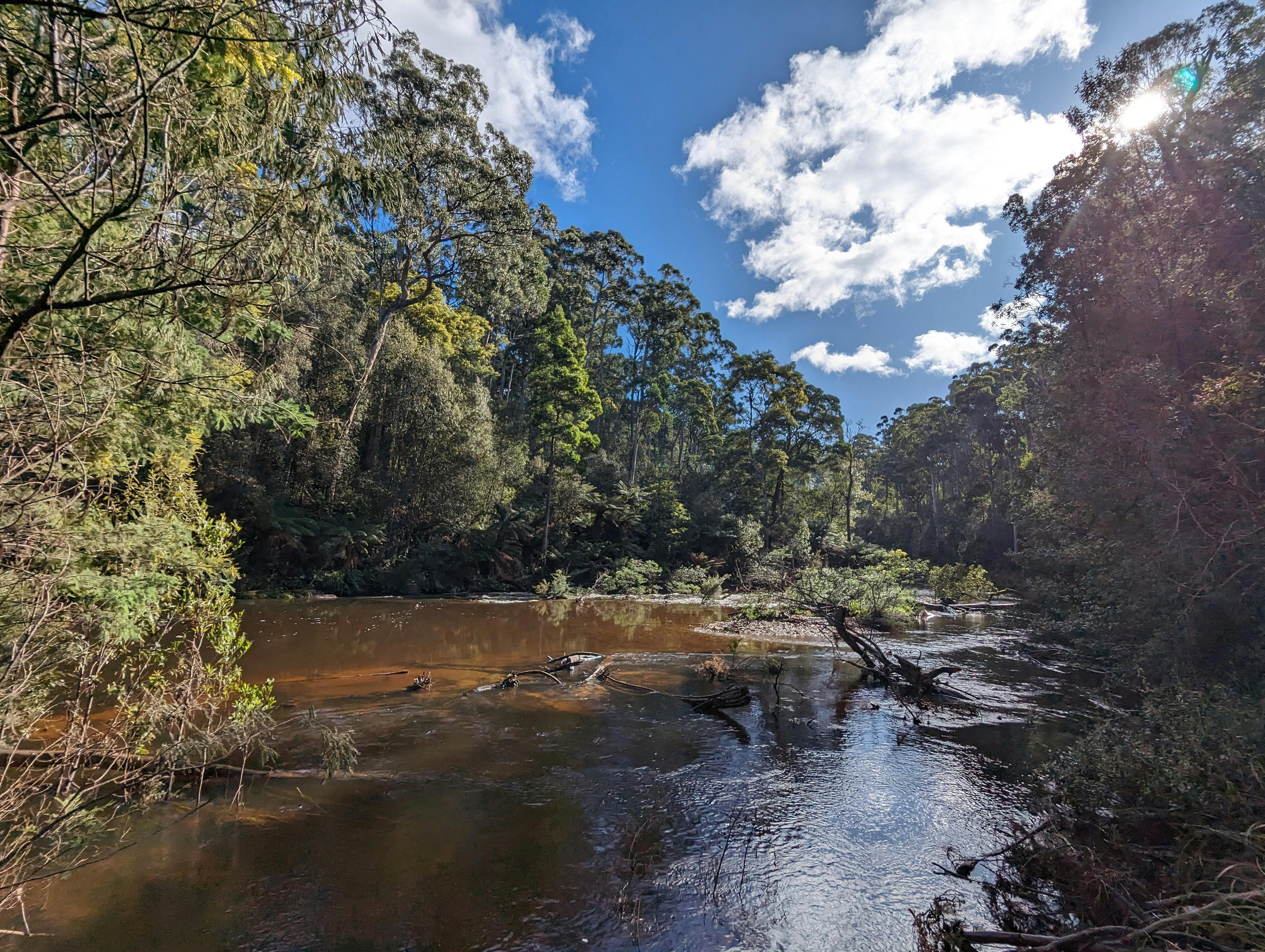 Fernglade Reserve