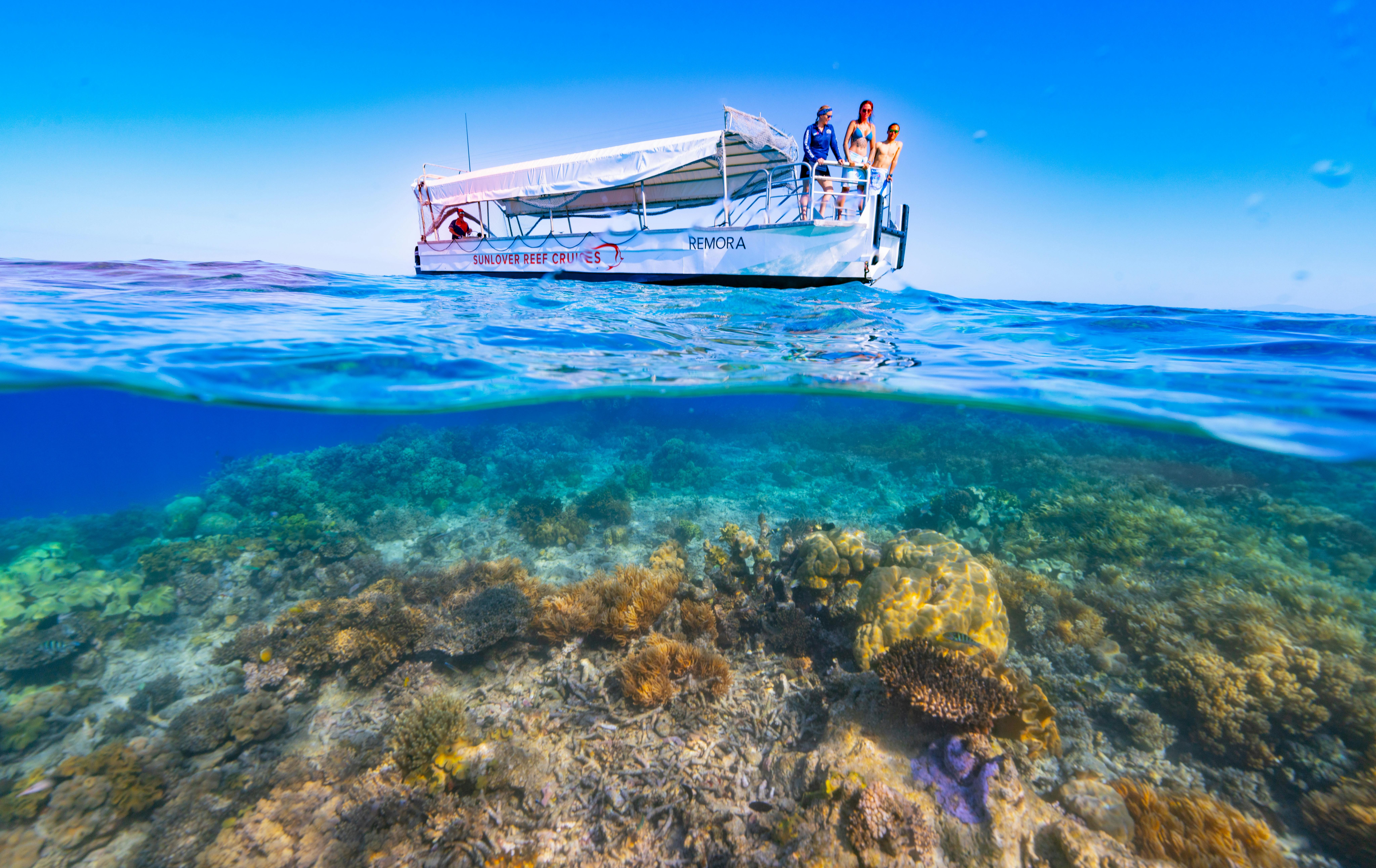 Explore the vibrant coral of Moore Reef from a glass-bottom boat on the Great Barrier Reef.