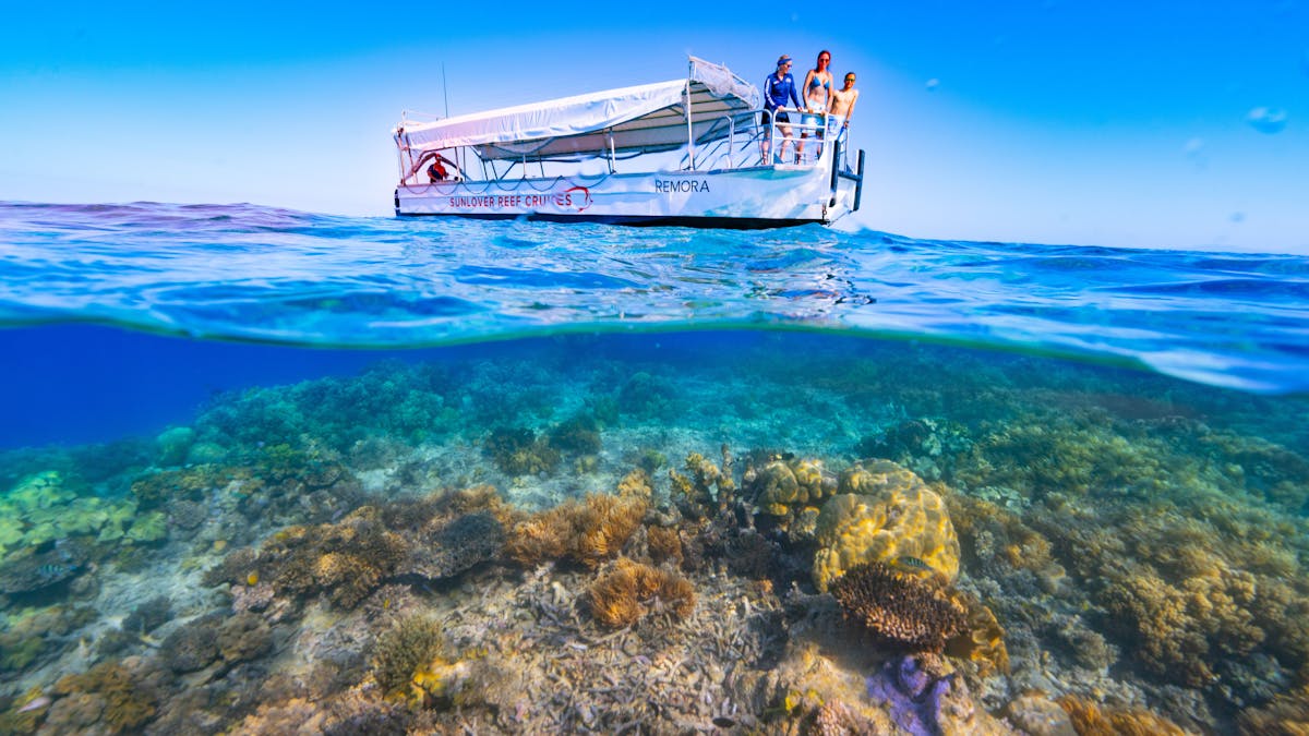 Explore the vibrant coral of Moore Reef from a glass-bottom boat on the Great Barrier Reef.