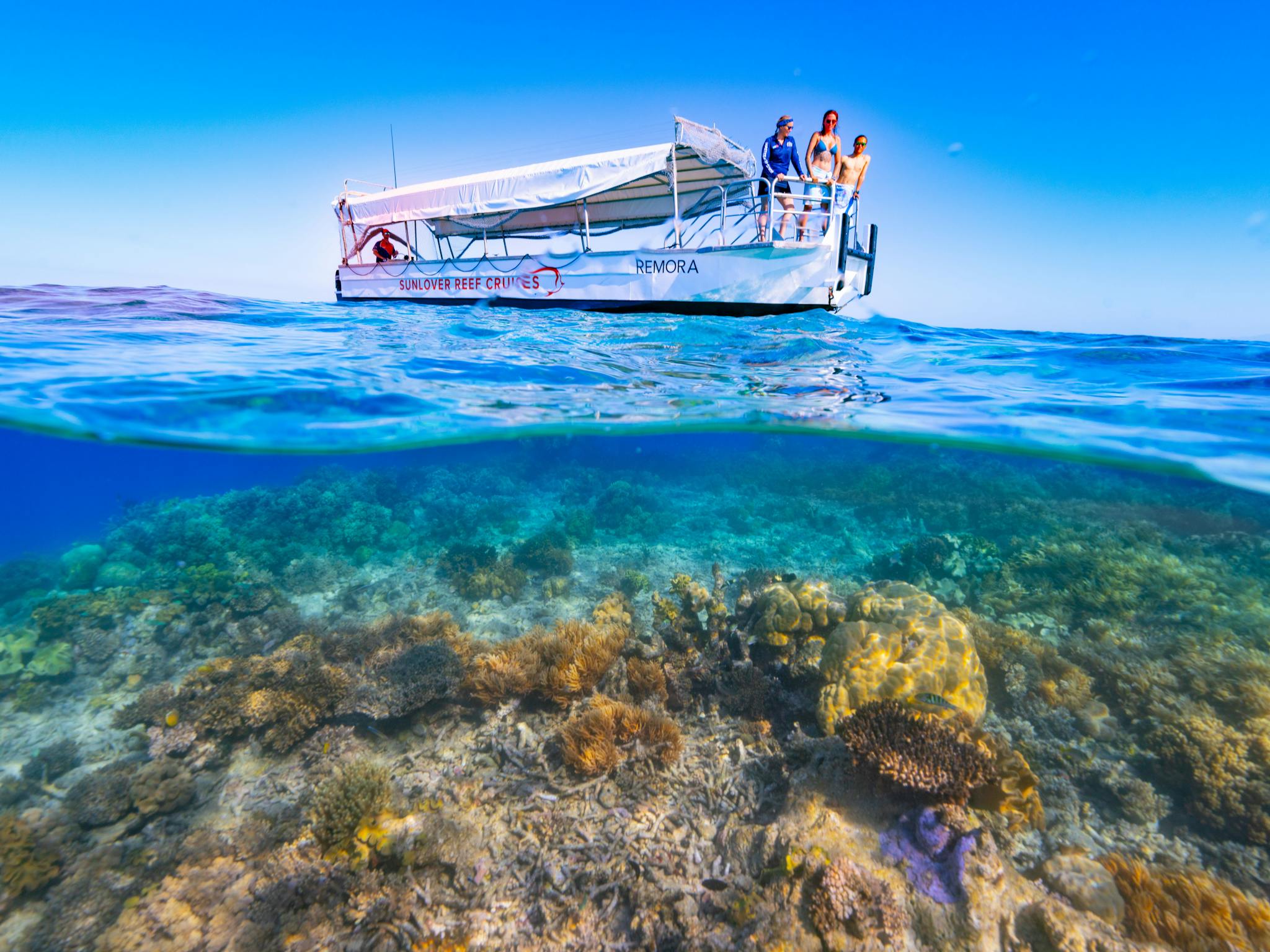 Explore the vibrant coral of Moore Reef from a glass-bottom boat on the Great Barrier Reef.