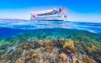 Explore the vibrant coral of Moore Reef from a glass-bottom boat on the Great Barrier Reef.