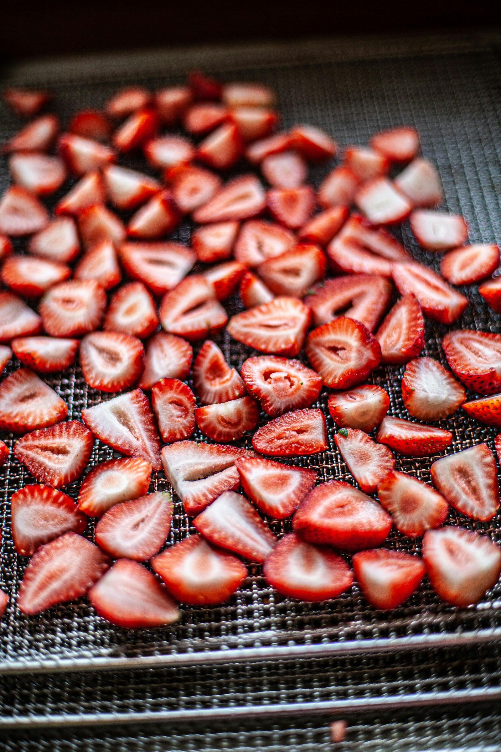 Fermenting, Drying and Preserving for Beginners