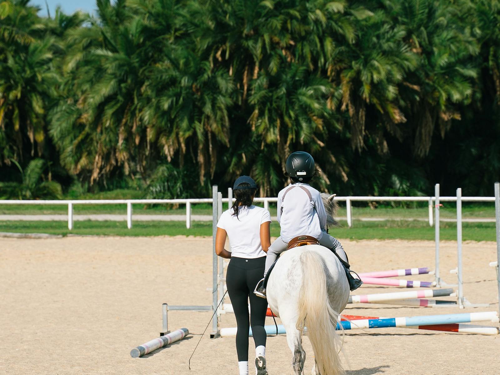 Child being led on pony over small jump
