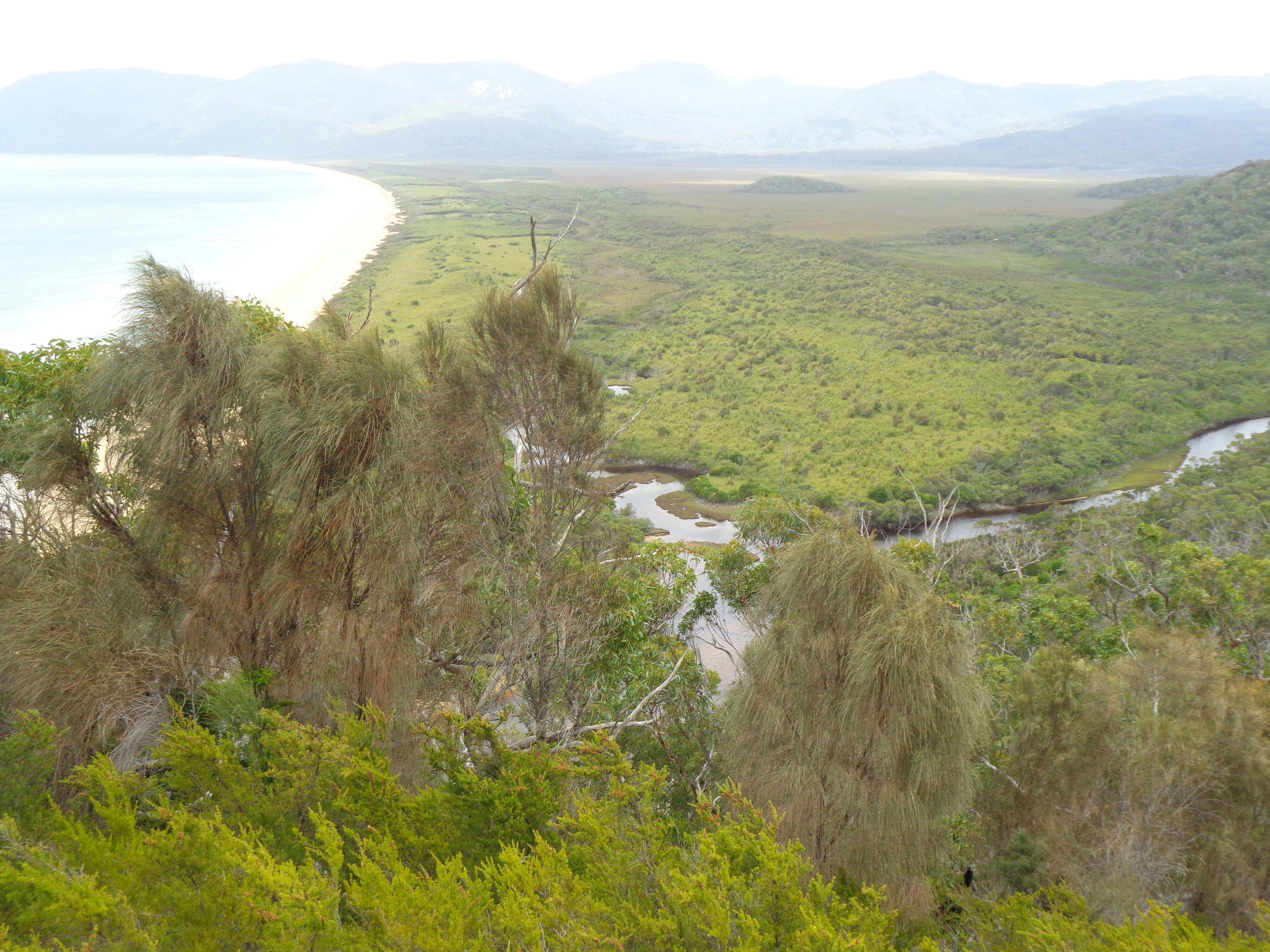 View back towards 5 Mile Beach at Wilsons Promontory Northern Circuit