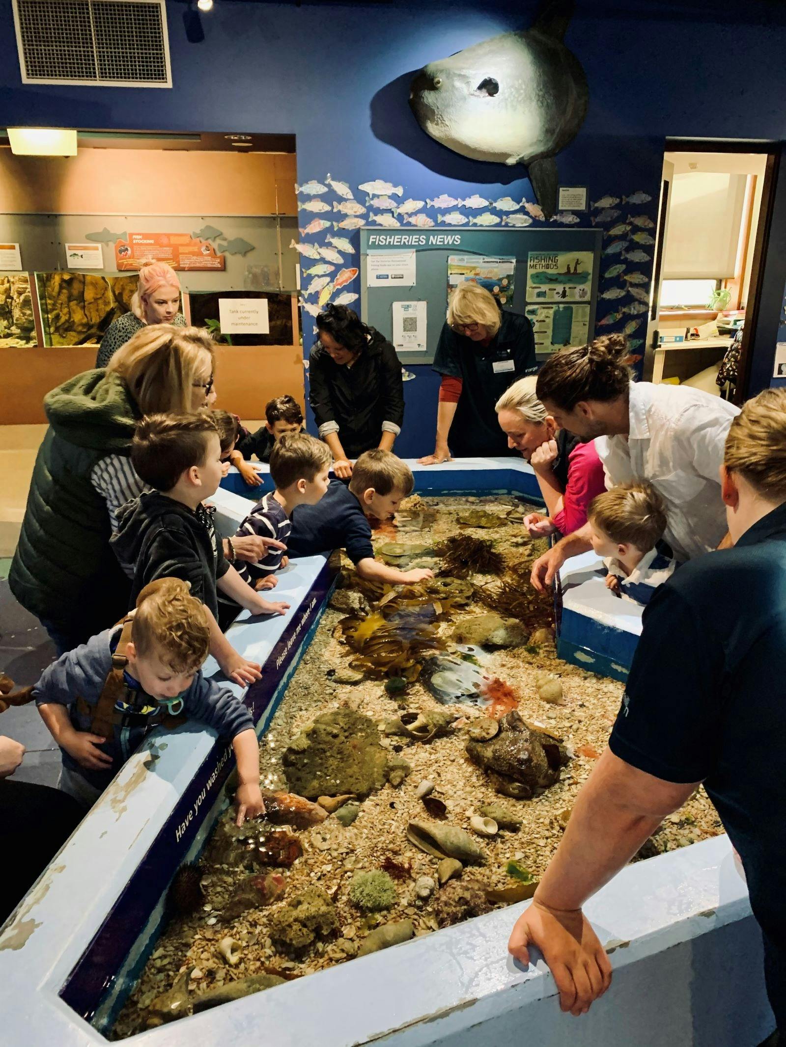 Marine and Freshwater Discovery Centre Summer Holiday Program