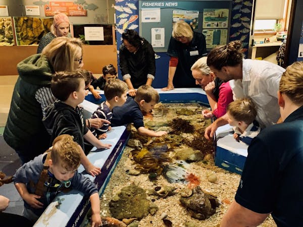 Marine and Freshwater Discovery Centre - Autumn Holiday Program