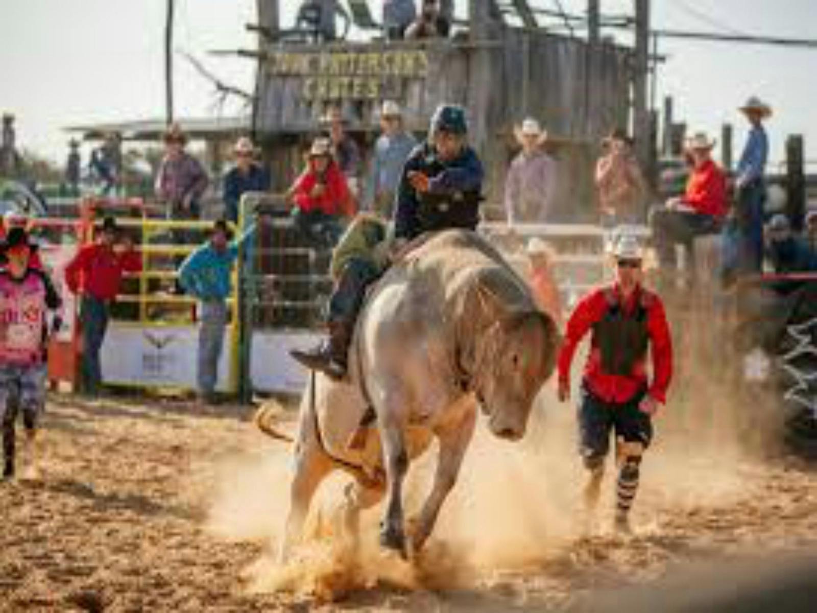 Image for Dungog Rodeo