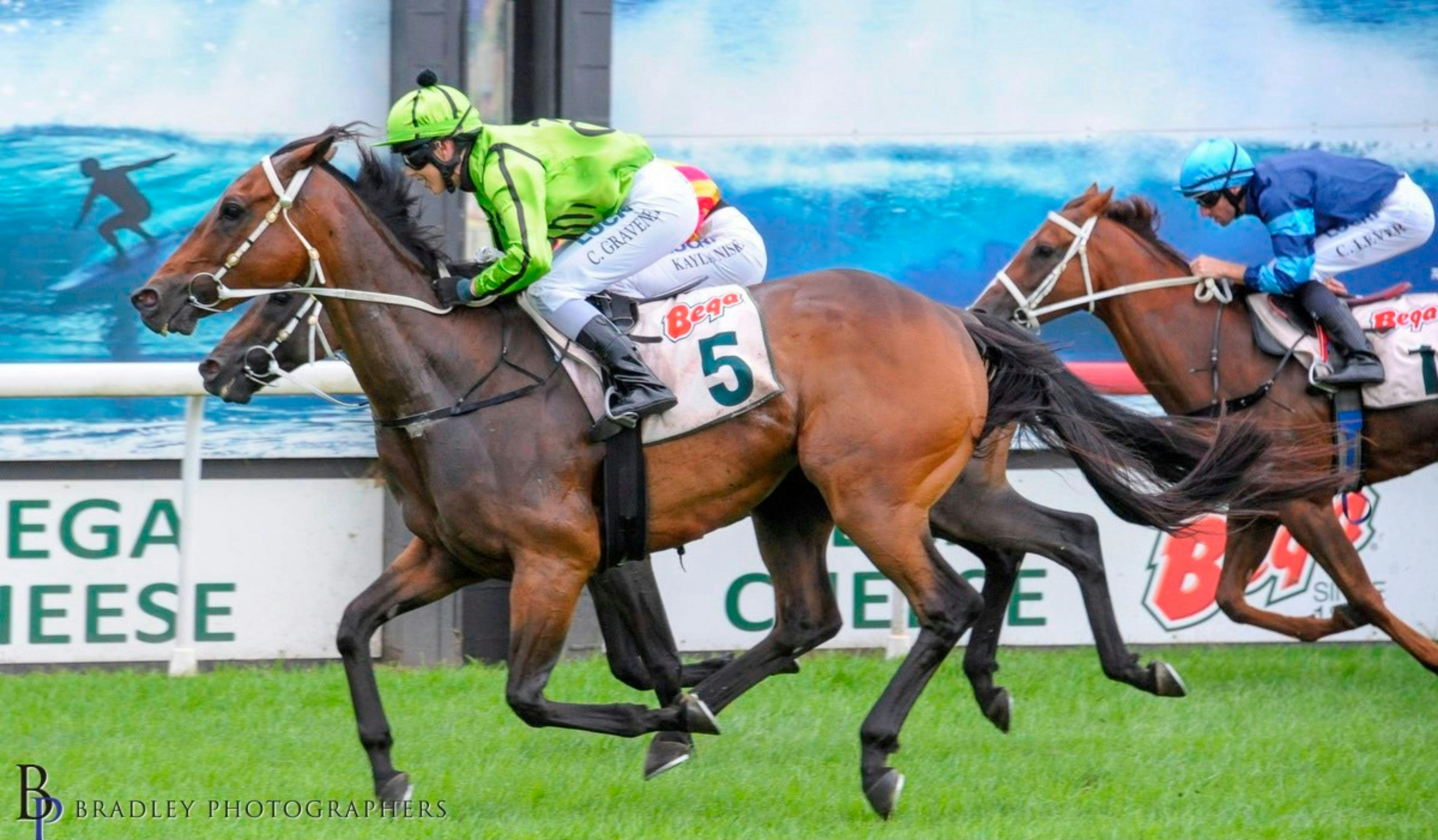 horses running accross the finish line in a race