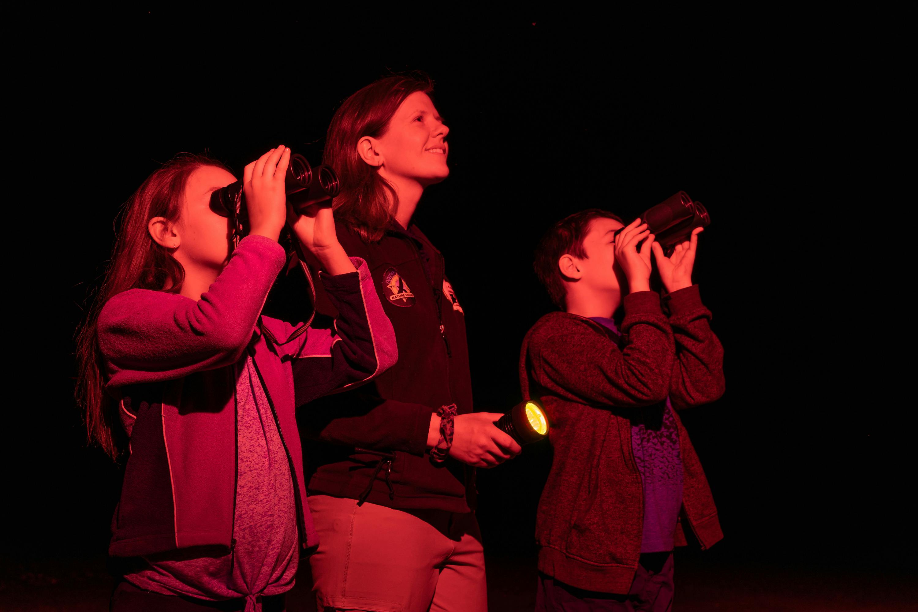 Tour guide shines a red spotlight, and two kids use binoculars to watch wildlife at Carnarvon Gorge.
