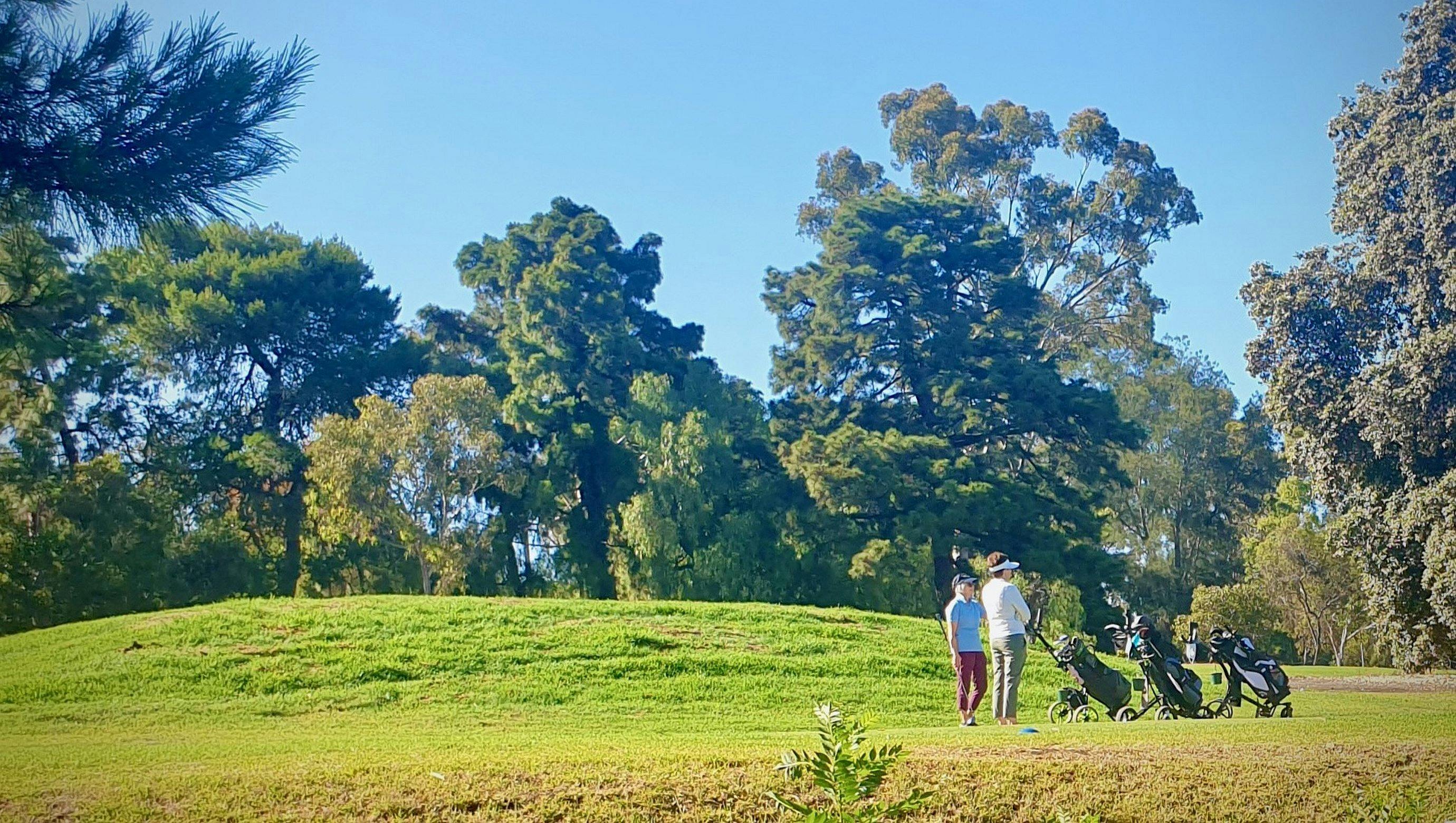 Possum Park /Pirltawardli (Park 1)