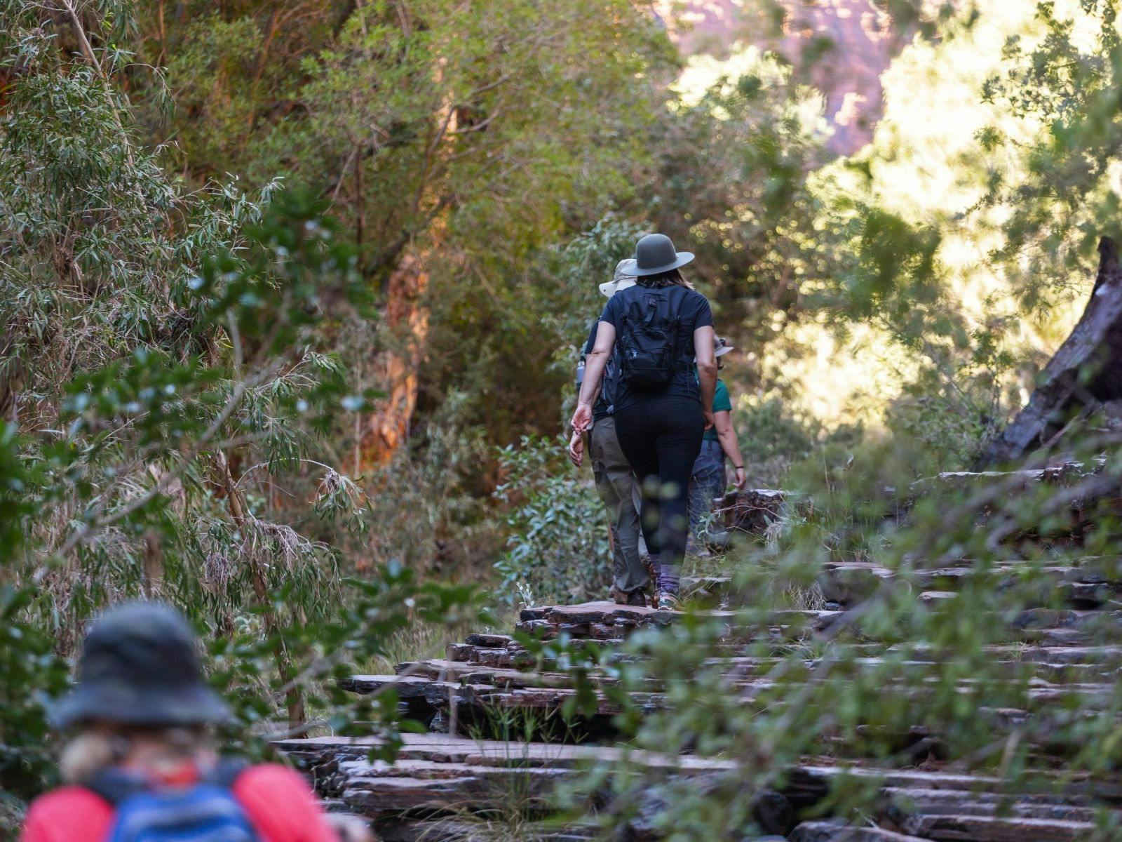 Karijini hikers walking