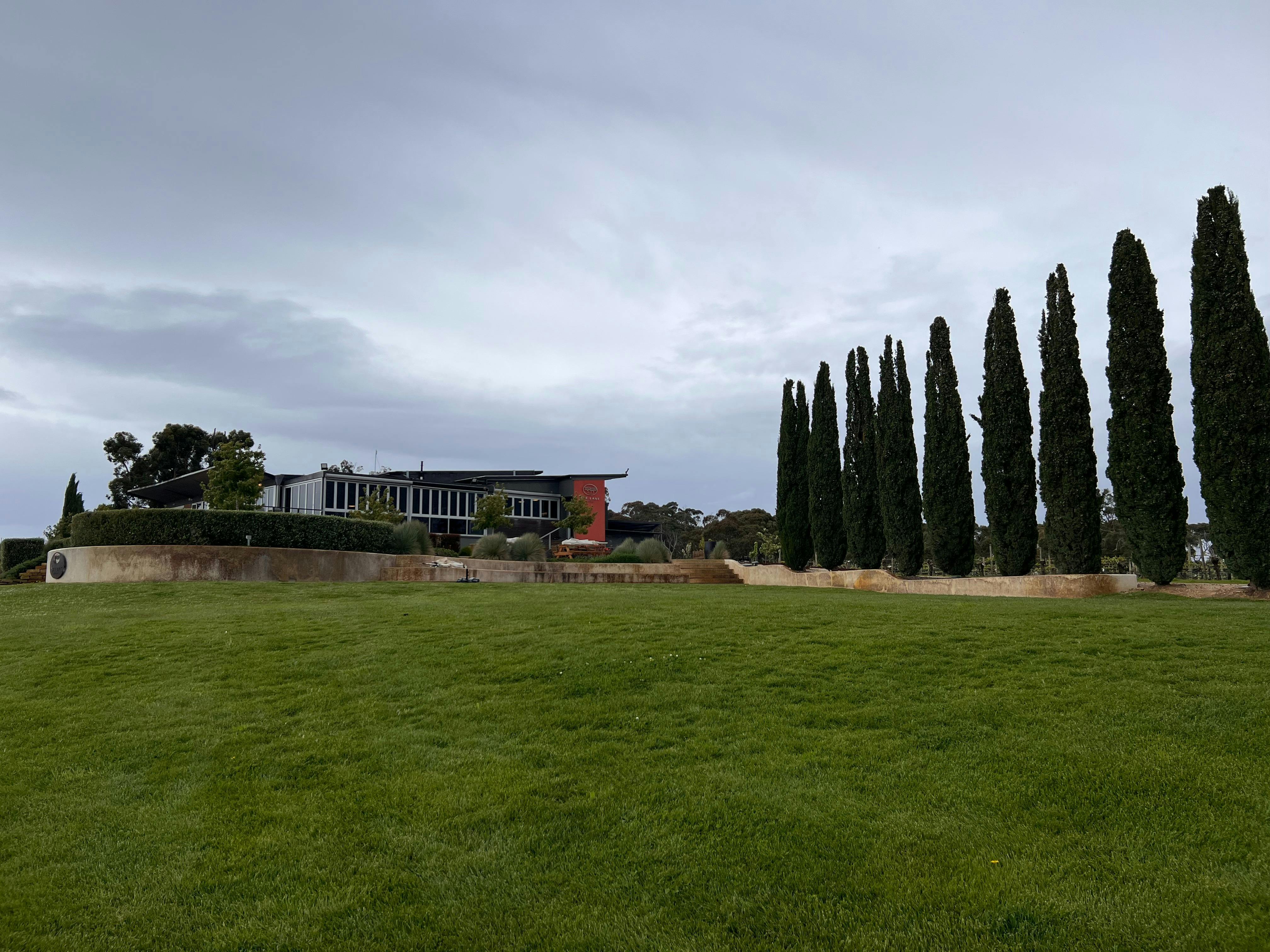 The Lane Vineyard