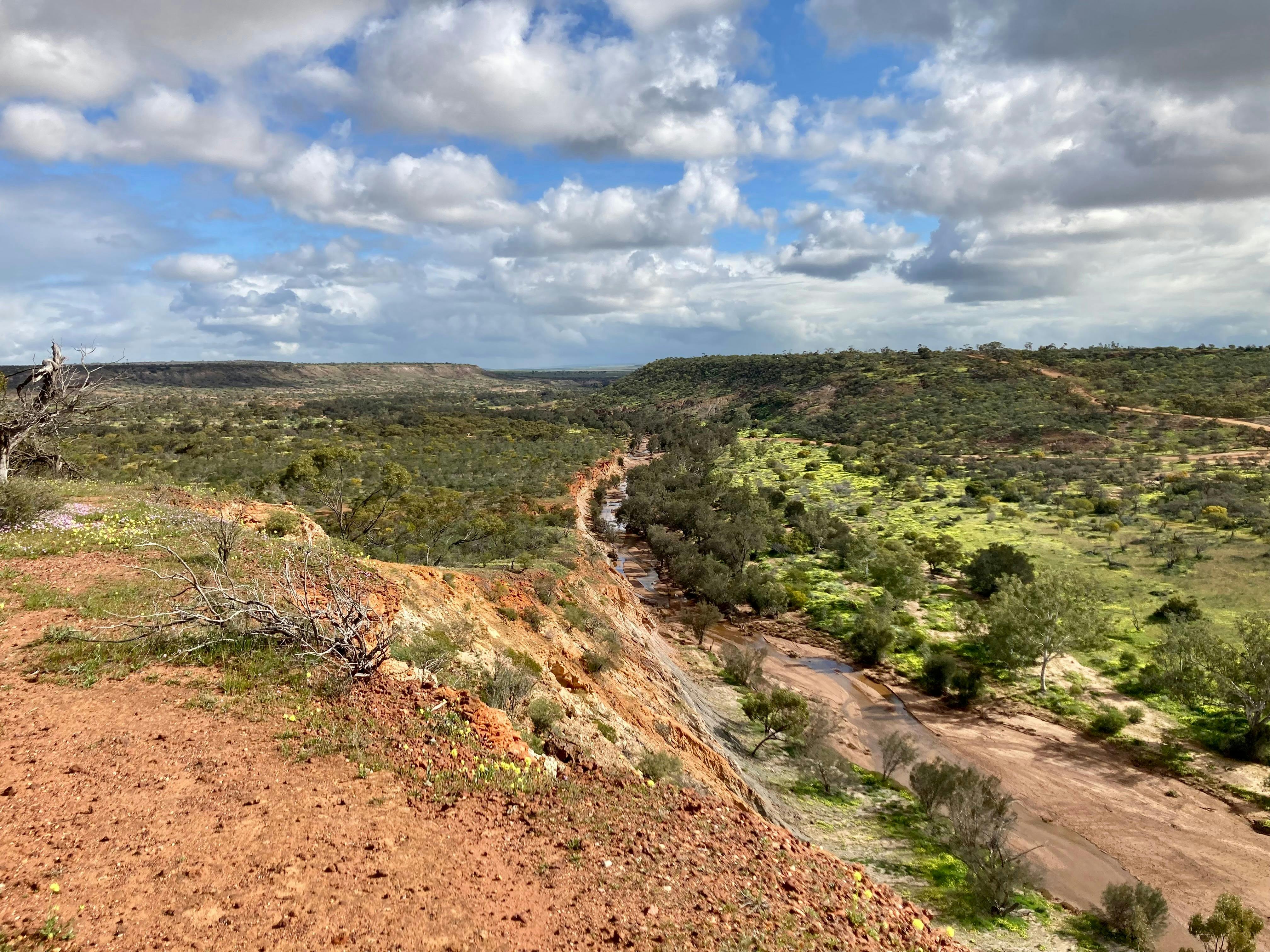 Views from Coalseam Conservation Park during wildflower season on tour with New Leaf Connect