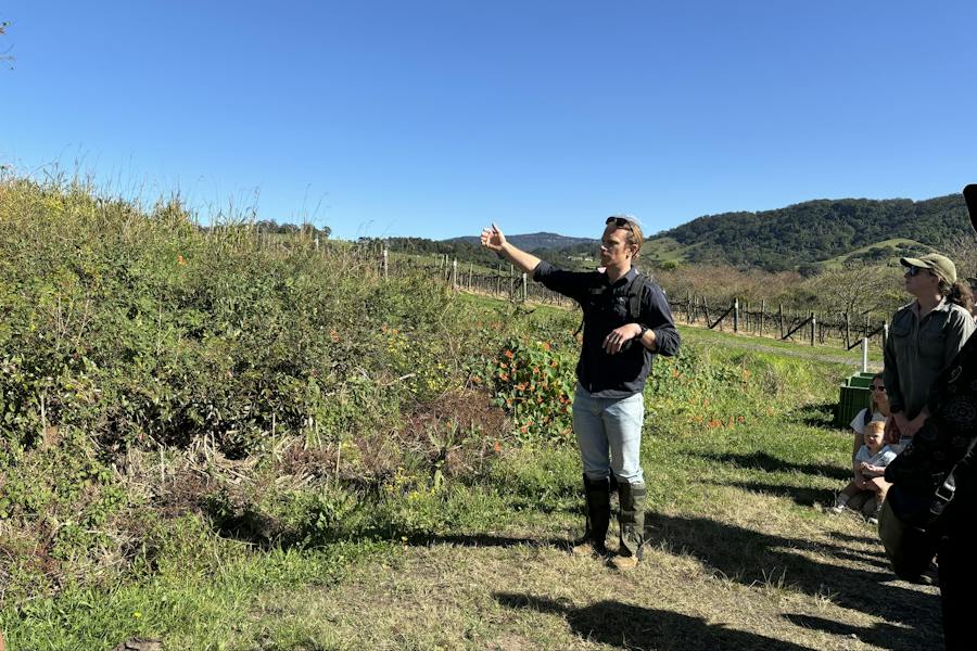 Nature Walk host explaining a project site to past attendees