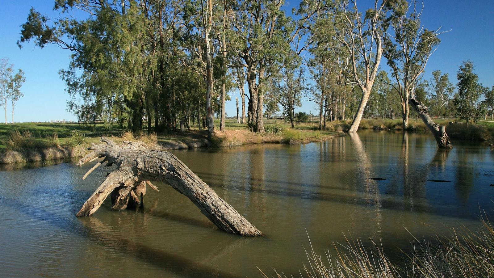 Milmerran Creek