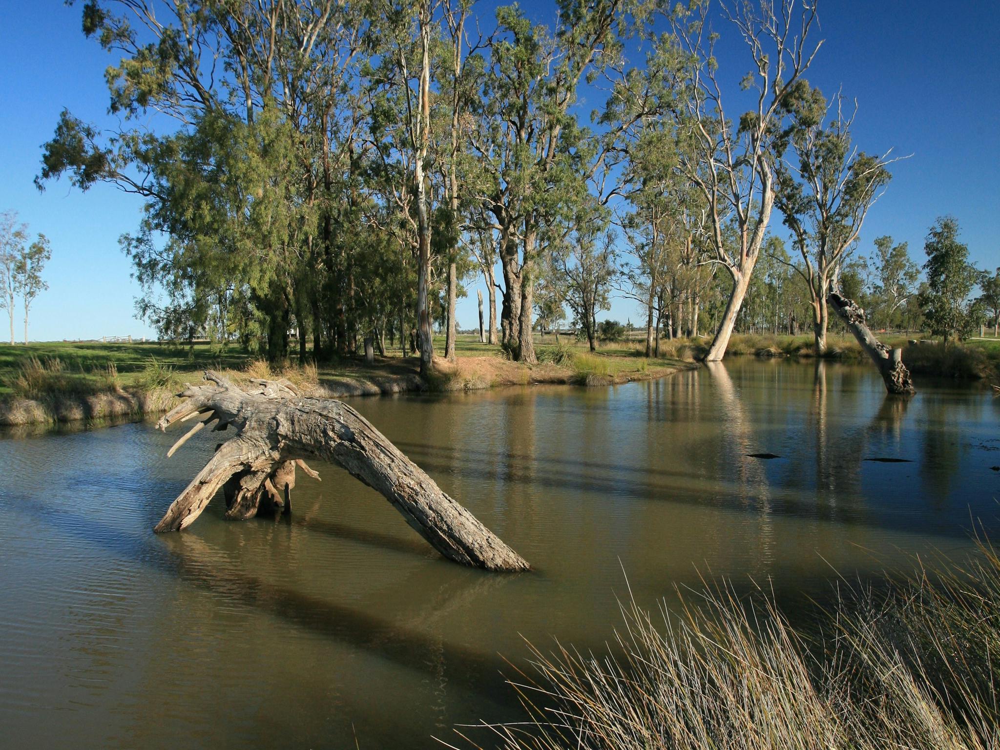 Cecil Plains to Tara Fishing Tour | Southern Queensland Country