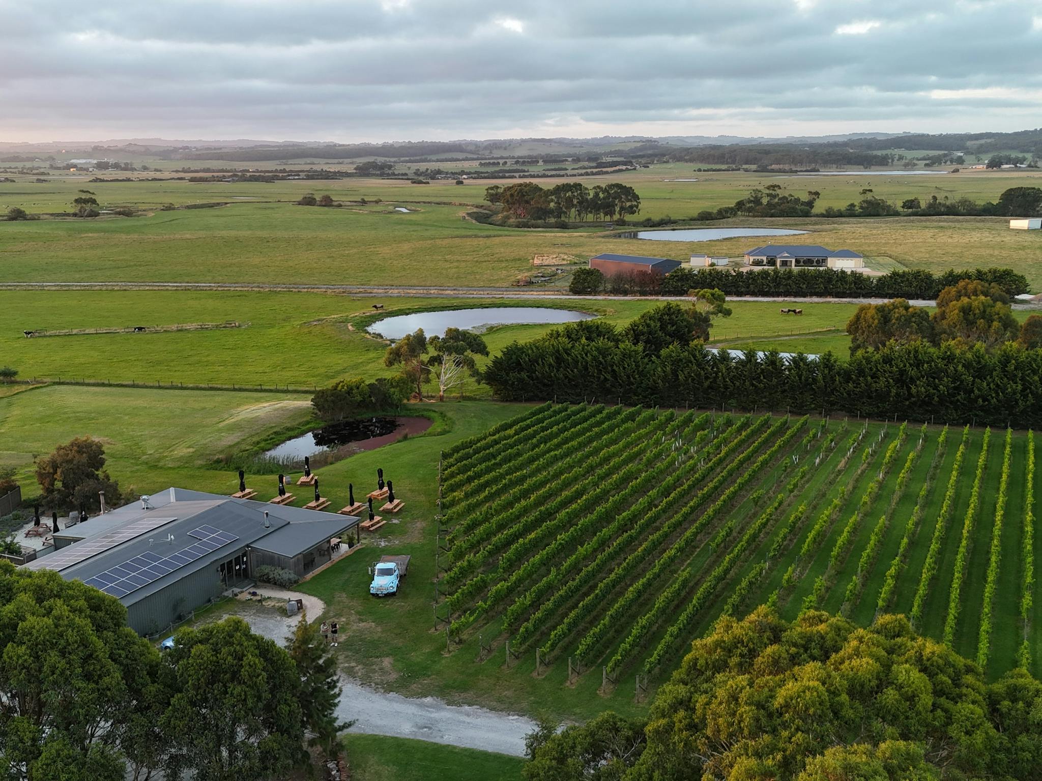 Aerial View - Harman Wines