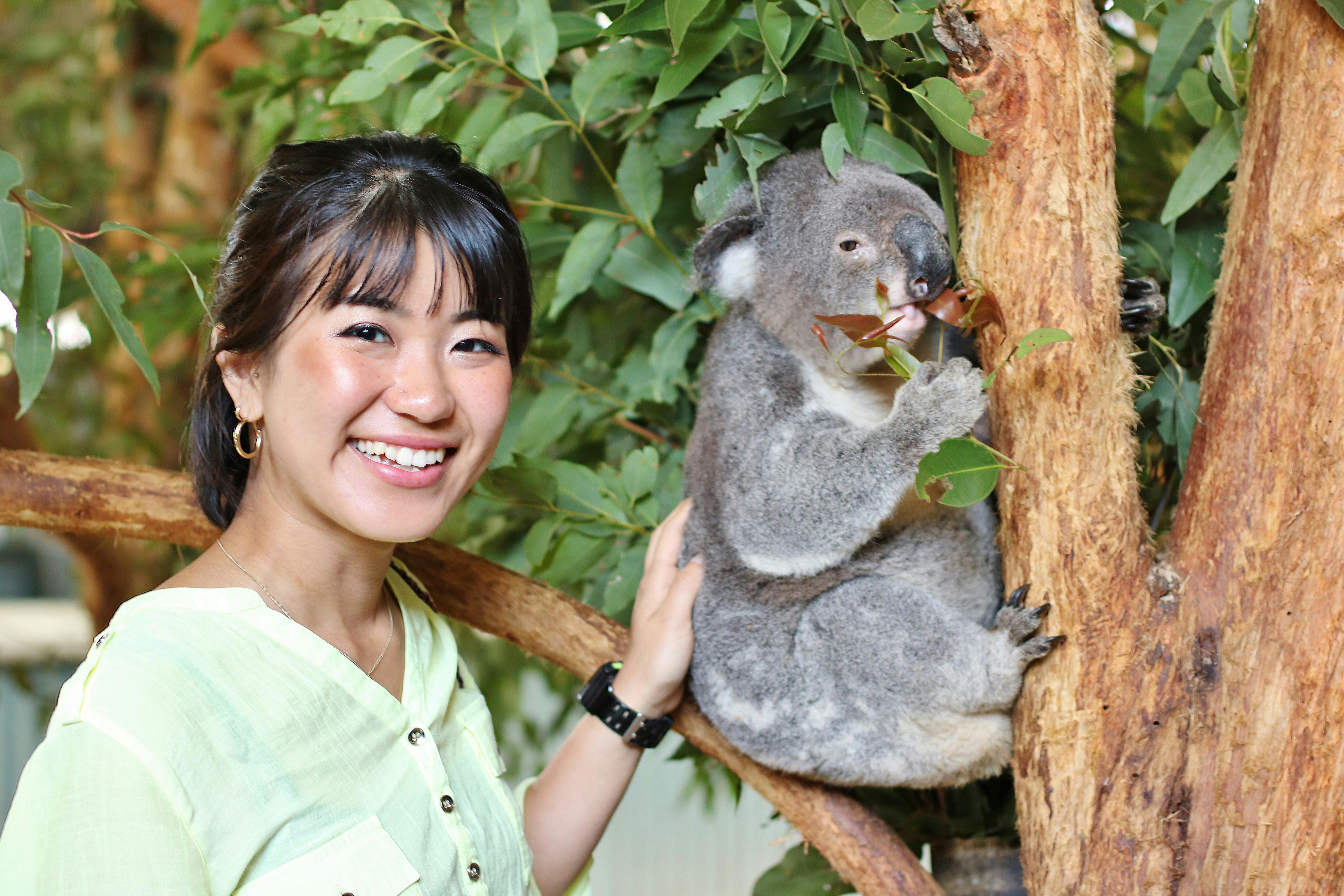 Koala Encounter